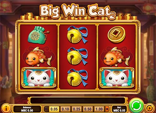 Big Win Cat spēļu automāts no Play'n GO spēļu nodrošinātāja.