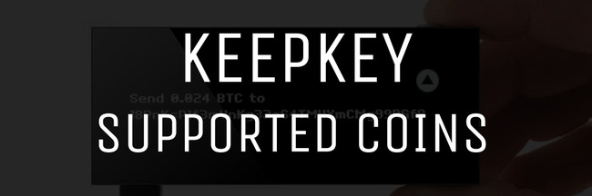 Keppkey 지원 동전
